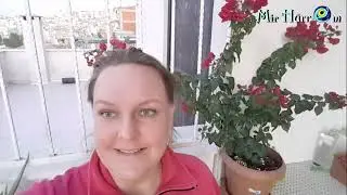 Неделя пролетела, жизнь течет своим чередом . Измир, Турция