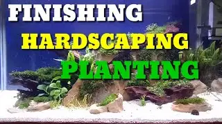 Finishing Hardscaping and Planting // by Aquascape Sobat AR