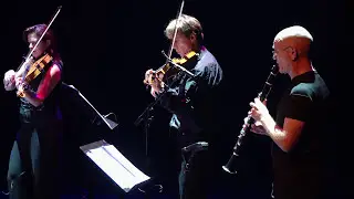Wim Mertens - Unwillen-nichtwollen