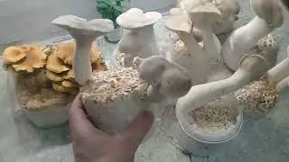 Заключительный..ИТОГ