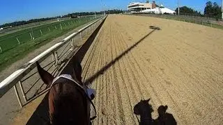 Thoroughbred Race Horse Helmet Camera Workout. GoPro HERO