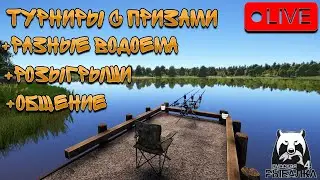 🔴ПРЯМОЙ ЭФИР В РУССКАЯ РЫБАЛКА 4/ ЧЕТО ЛОВИМ,А МОЖЕТ ФАРМИМ,НЕ ЗНАЮ ЕЩЕ...