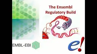 Virtual Workshop - The Ensembl Genome Browser - (2021): Webinar 5 - Regulation