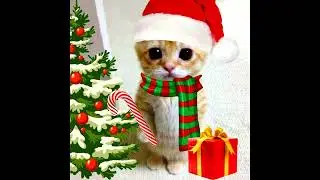 [FREE FOR PROFIT] Christmas Pop Type Beat - "snowman"