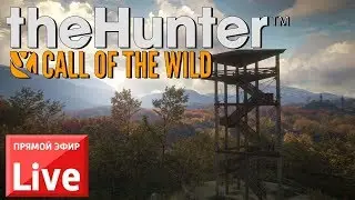 thehunter: call of the wild. Стрим №7