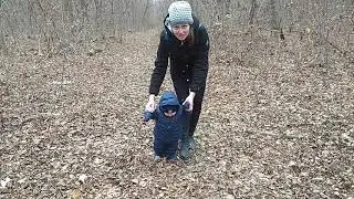 Первые шаги
