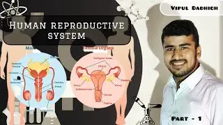 Female reproductive system I Science I sexual reproduction in animals
