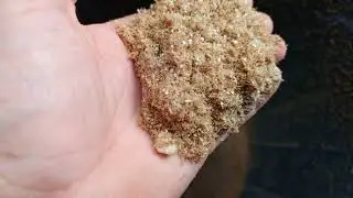 ‼️## Затарился пшеницей и ячменём, цены на зерно##‼️