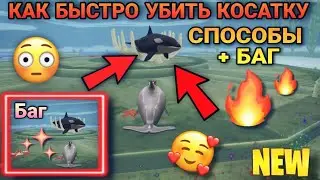 КАК БЫСТРО УБИТЬ КОСАТКУ В WILDCRAFT 🐙✨ [СПОСОБЫ + БАГ] 🐳