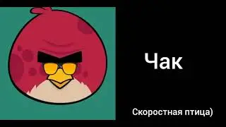 Оцениваю птиц из Энгри бердс