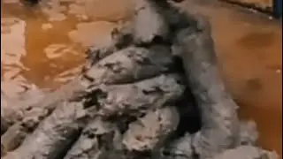 Бл