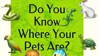 Lost Pets Prevention Tips  Part 1