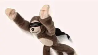 Flingshot Slingshot Flying Screaming Monkey