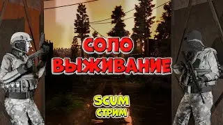 Поиски самолета для ... - SCUM стрим | boosty