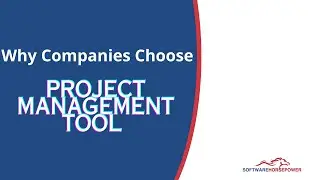 Why Companies Choose Project Management Tool