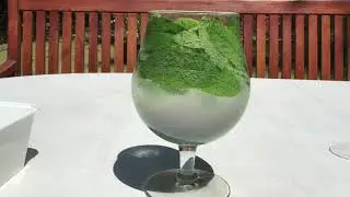 Gin Tonic Mojito