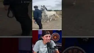 YOU LAUGH, YOU LOSE 🤣 