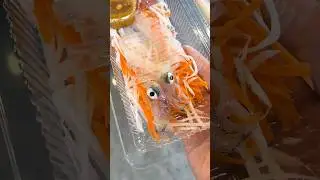 Thai Girl Sells Live Squid Sashimi