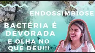 ENDOSSIMBIOSE - Introdução ao Mundo das Algas; MÓDULO 01: AULA 03