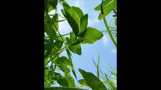 Лайфхак как снимать необычные видео 🔥📷