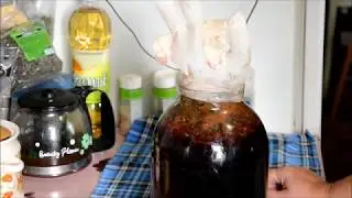 Вино не бродит. Что делать?
