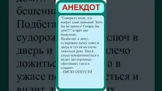 Лучшие анекдоты. Смешные анекдоты. Веселые анекдоты.