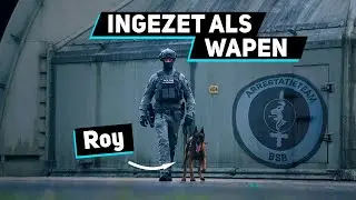 Honden Bij Het Arrestatieteam Van De BSB | Military Dogs | #4