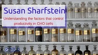 Susan Sharfstein - Understanding the factors that control productivity in CHO cells