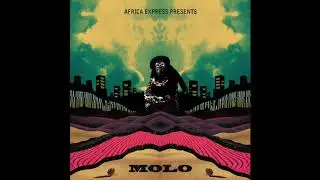 Africa Express - 'Nayena'