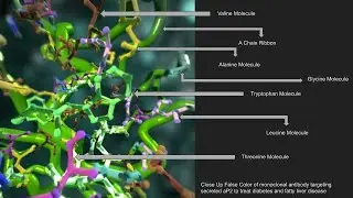 Backbone and Ribbon Tools || The Proteins Toolkit || Houdini Tutorial