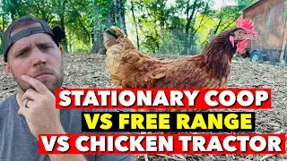 I’VE TRIED ALL STYLES OF CHICKEN COOPS! WHAT’S BEST?!