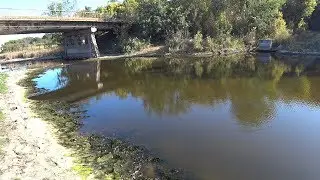 Рыбалка на поплавок в луже + НЕОЖИДАННЫЙ ТРОФЕЙ)))