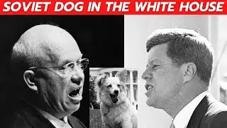 PUSHINKA: present of Khruschev, favorite of Kennedy
