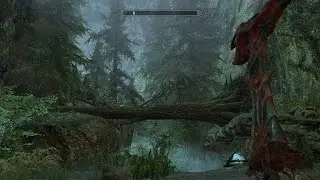 SKYRIM eps 90  In Shadowgreen Cavern