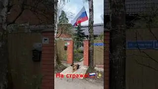На страже🇷🇺✨ 