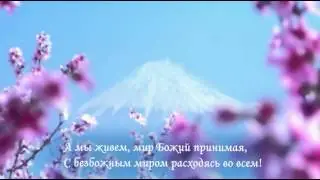 Православные стихи «А мы живем!» отца Олега Моленко