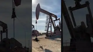 How is Oil Extracted ? | Science