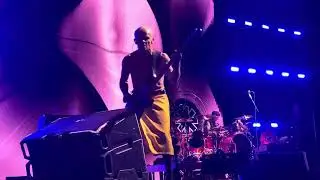 RHCP All Around The World