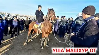 ЧИРОКЧИ МОЛ БОЗОРИ ОТ НАРХЛАРИ 14 ЯНВАРЬ 2022 CHIROQCHI MOL BOZORI.