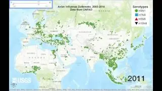 Visual History of Worldwide Avian Influenza Outbreaks