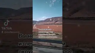 Высказывания