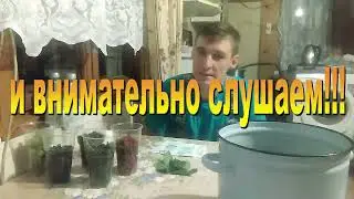 Наливка ЛЕТНЯЯ!