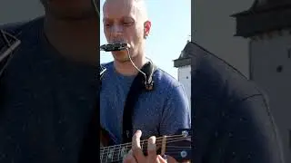 Seydel Gecko harmonica holder