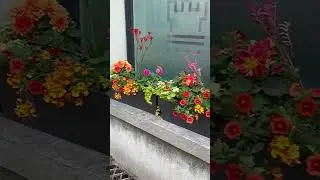 🏰Жизнь в древнем городе.