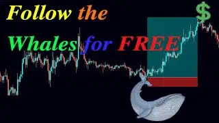 Follow the whales for FREE | Following BTC - Siguiendo a BTC