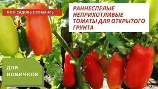 #раннеспелыесортатоматов