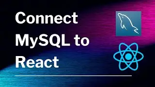 How To Connect MySQL To Express and React