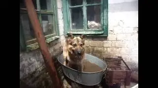 "Купание"
