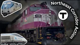 HORNSHOWS & RARE Trains On The Northeast Corridor!