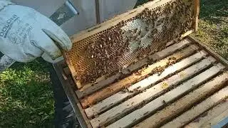 Итоги Взятка. Что в магазинах.